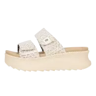 Delray Slide Surf Baja 